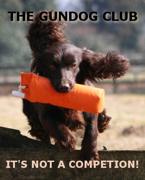 gundog-club The Gundog Club