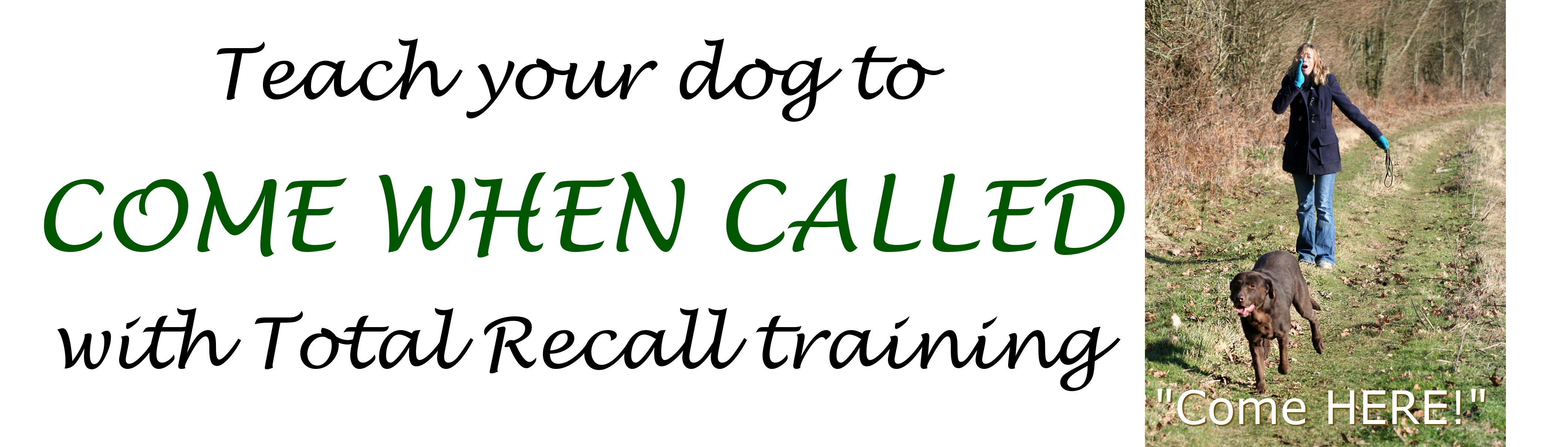 Total Recall, a complete recall training programme for puppies and adult dogs