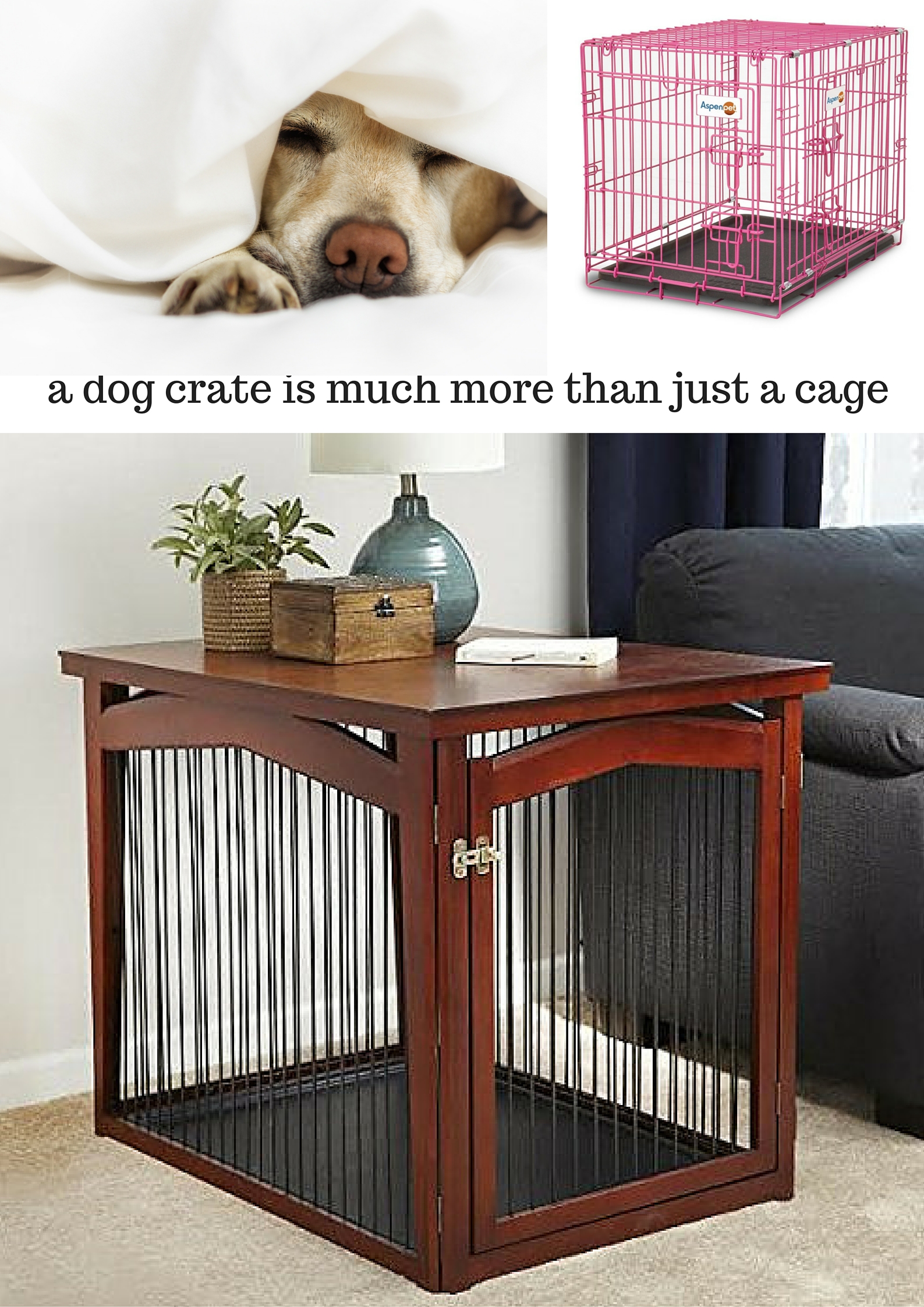 Best Dog Crates and Playpens for Labradors or Large Breeds