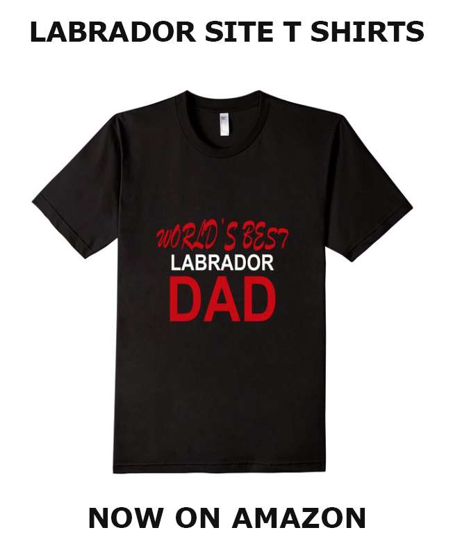 yellow labrador t shirt