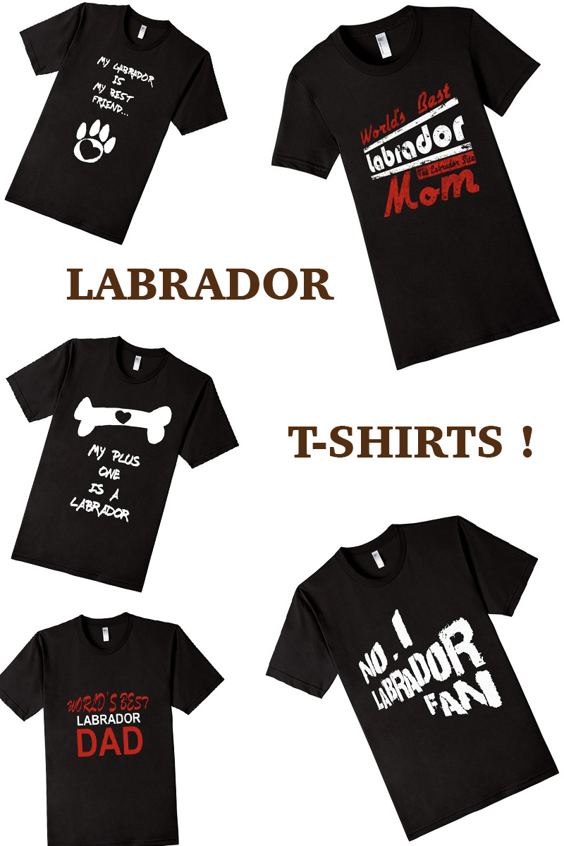 labrador shirts