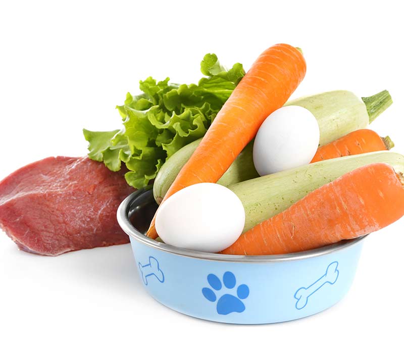 Dog Healthy Diet Recipes