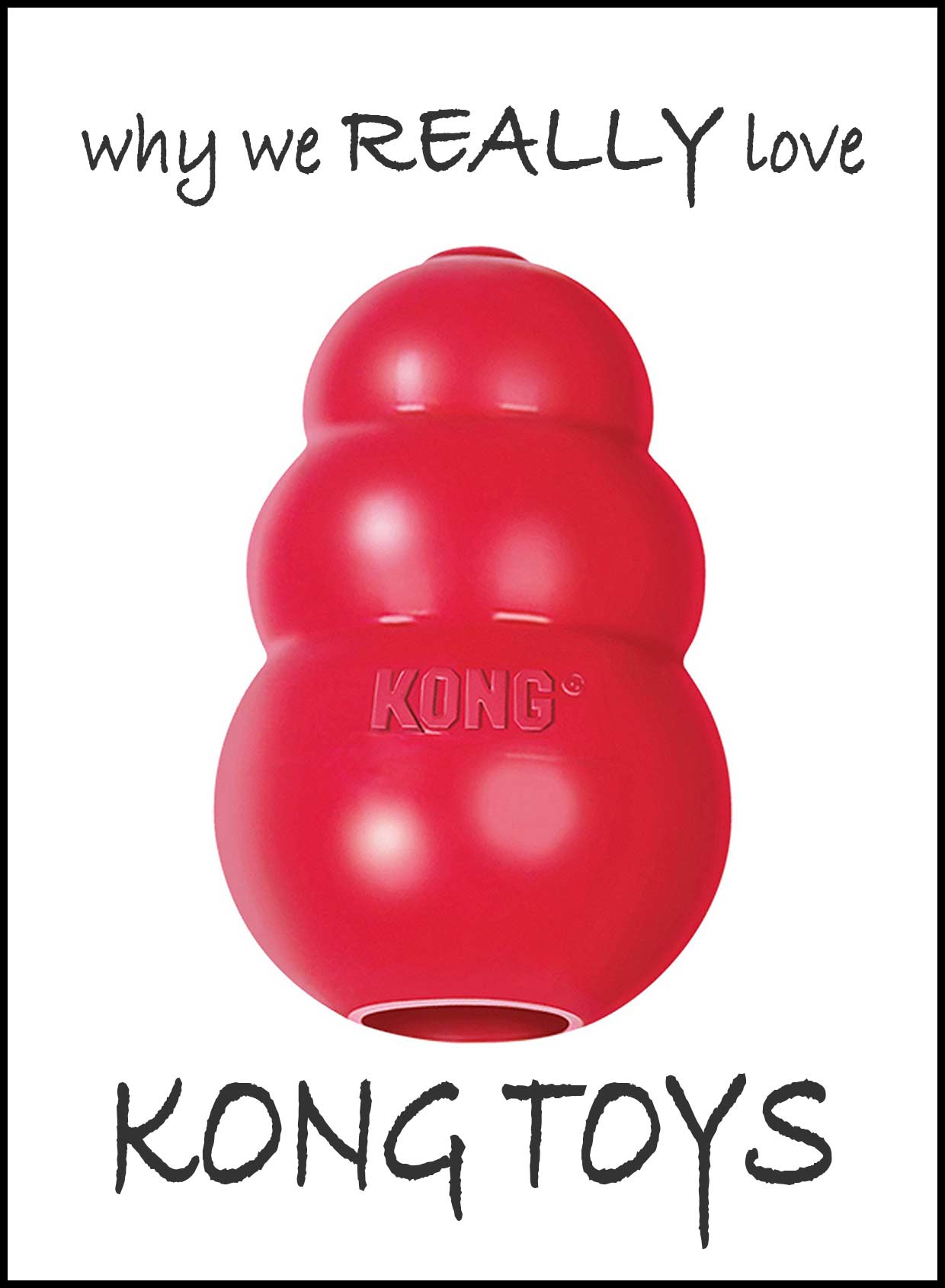 fillings for kong toys