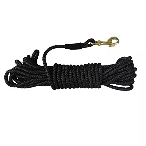 best long training leads for dogs