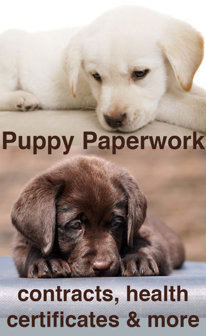 Puppy Paperwork: Contracts, Certificates & Microchipping - The Labrador ...