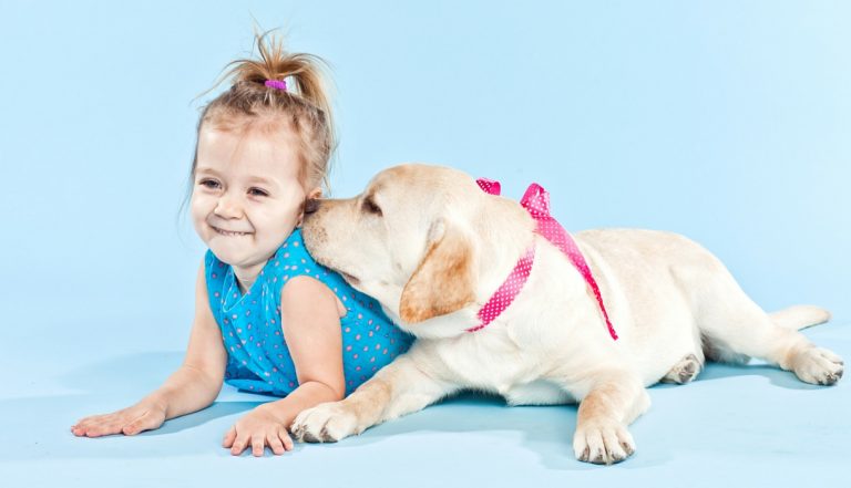 Introducing Your Labrador To The New Baby