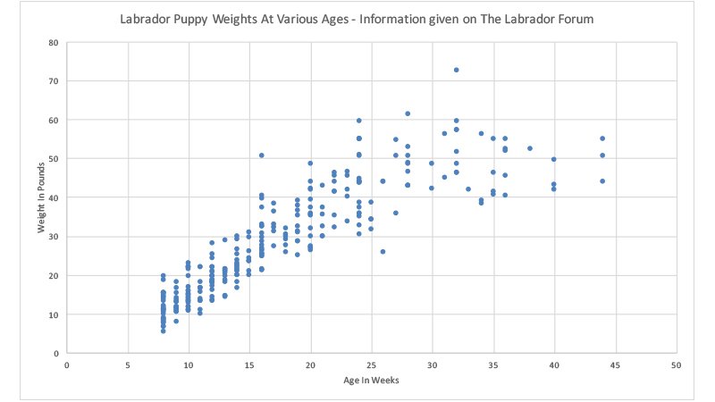 how much does a 4 month old labrador weigh