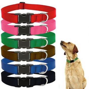 jazooli puppy collar