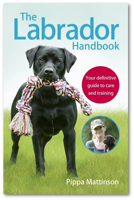 O Manual do Labrador por Pippa Mattinson