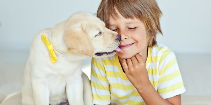 Dogs And Kids - How To Play With A Dog Safely