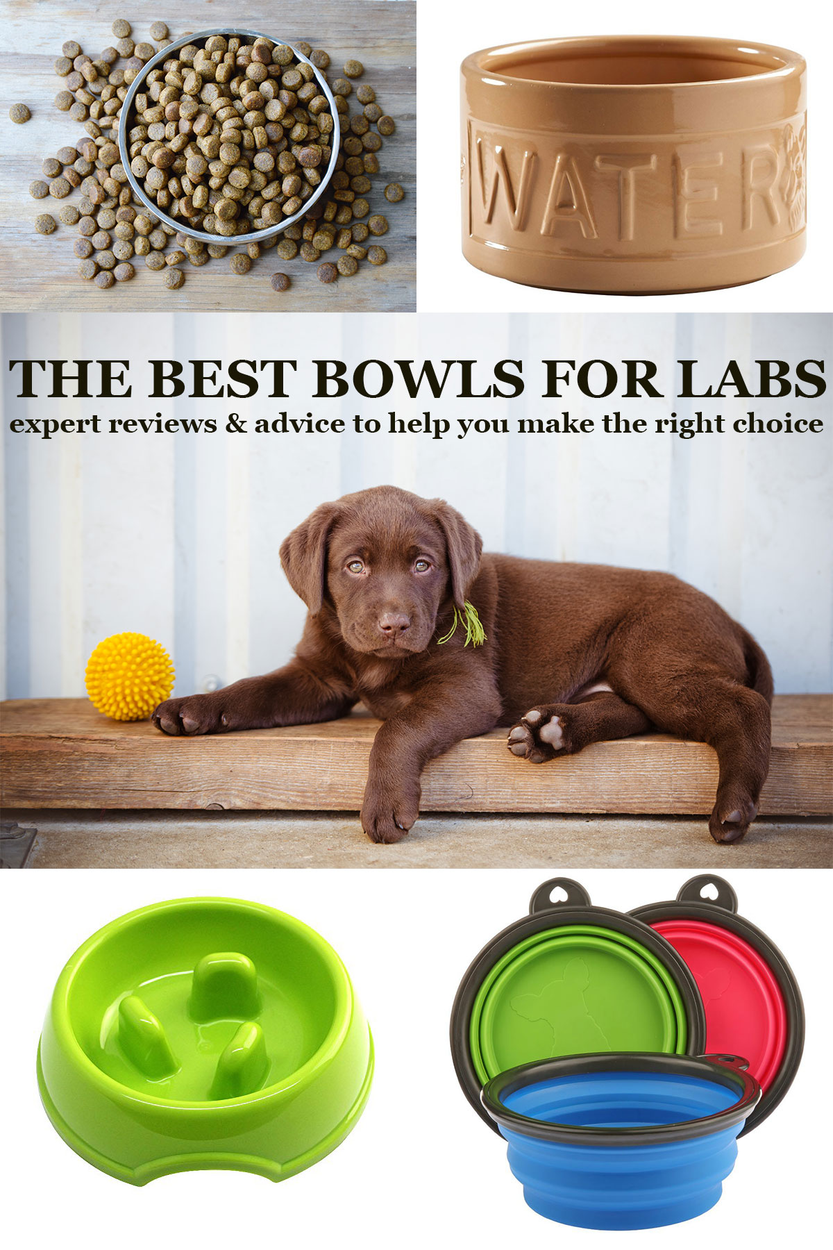4 Best Ceramic Dog Bowls (25+ Tested & Reviewed) - Dog Lab