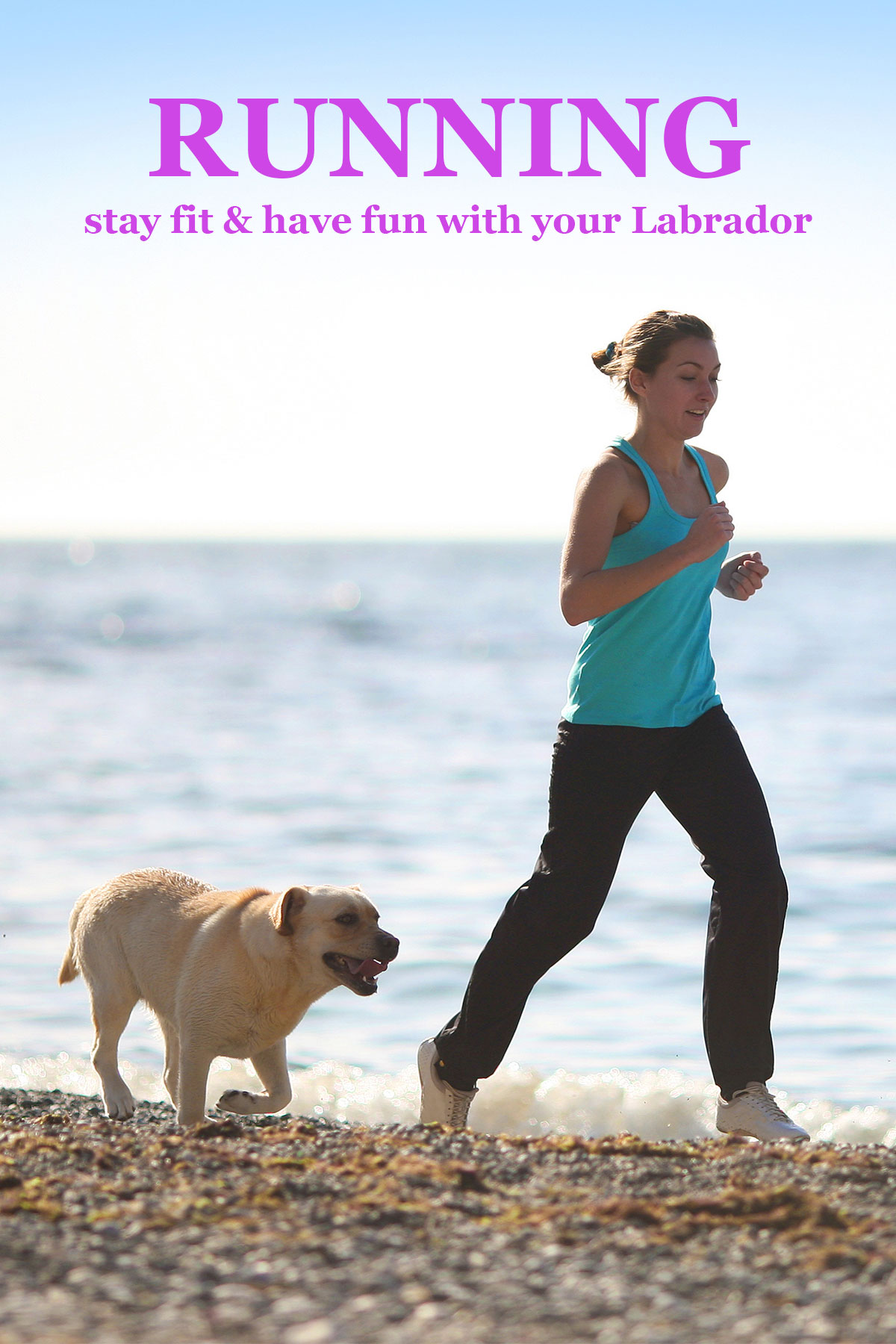 how do you jog with your dog