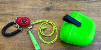 photo of clicker whistle and treat bag