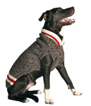 labrador dog sweater