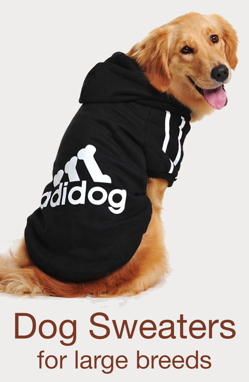 dog sweater large breed