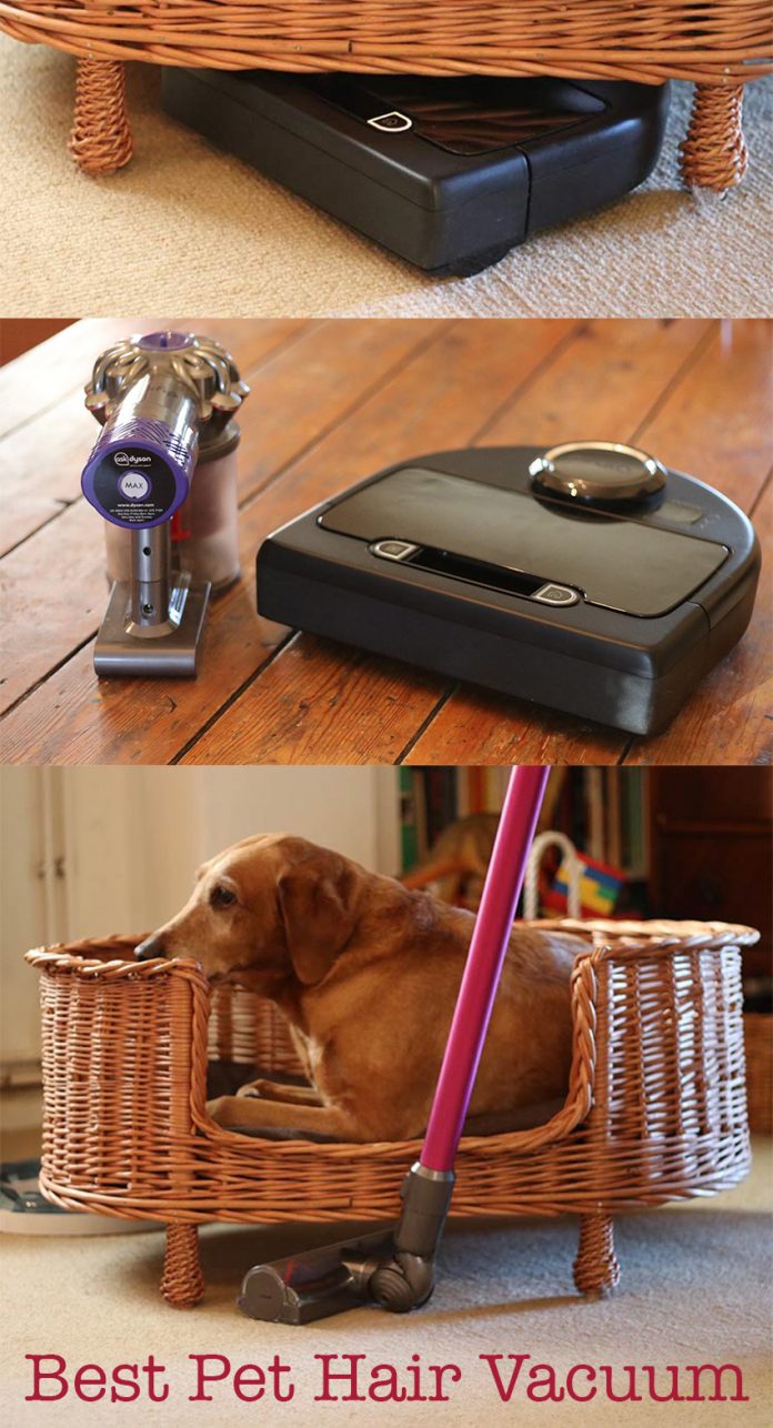 Best Vacuum For Pet Hair Detailed Review Of Neato Botvac and Dyson