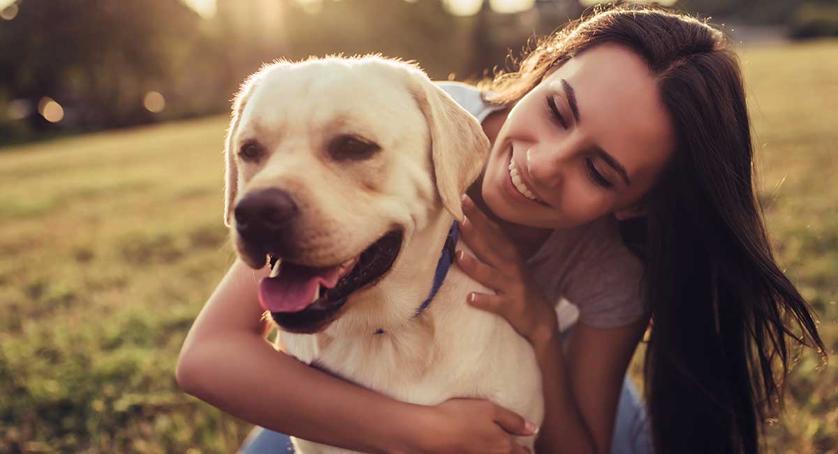 how old are female dogs when they go into heat