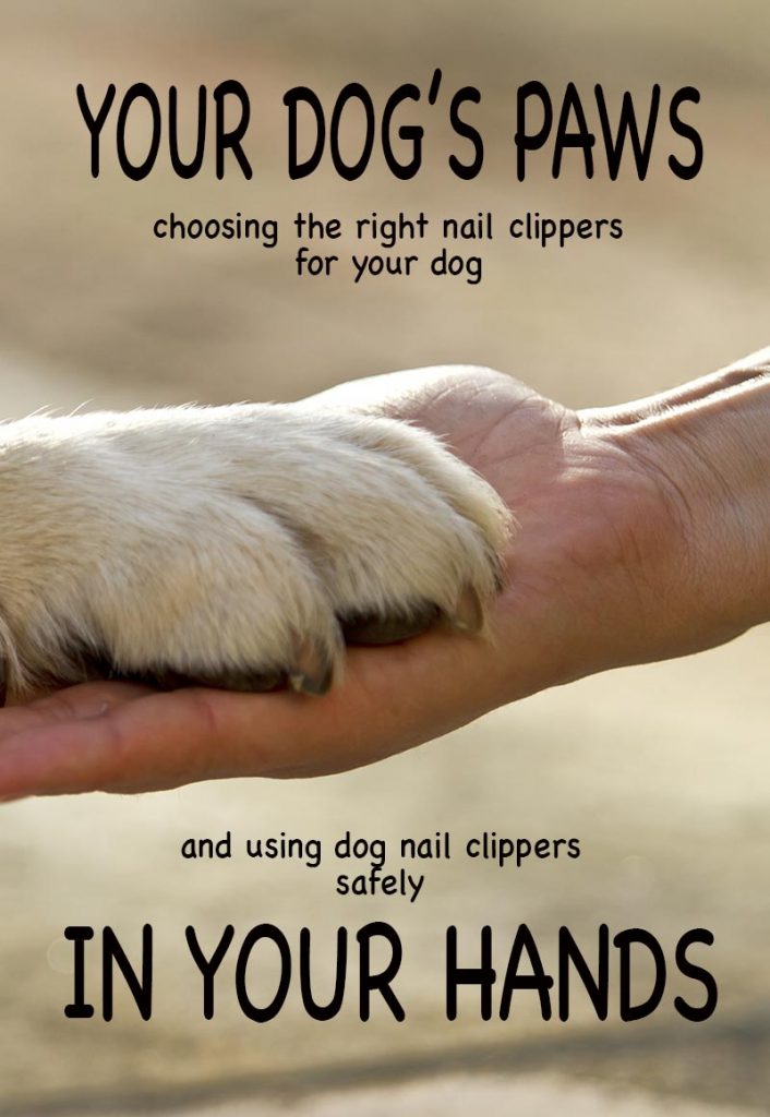 dog claw clipping