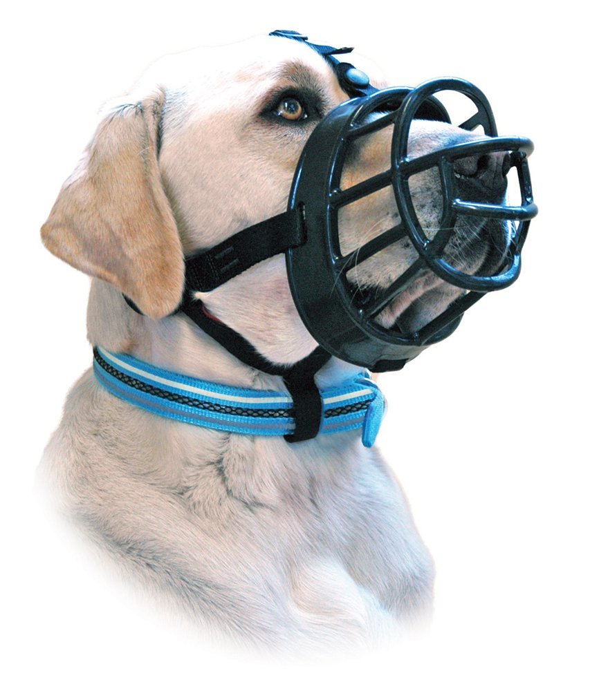 dog muzzle to stop eating