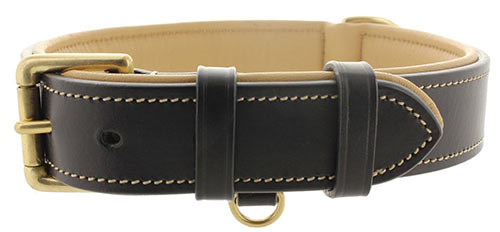 Best Leather Dog Collars - Reviews, Choosing Tips and Buying Guide