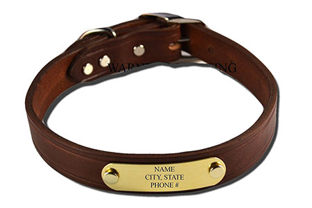 Our Favorite Personalized Dog Collars In a Range Of Styles And Designs