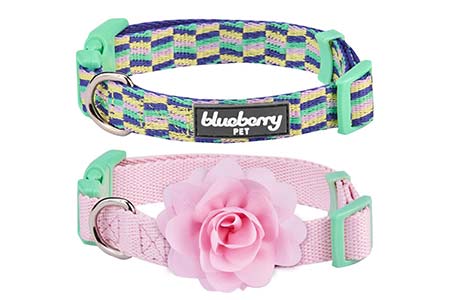 puppy collars