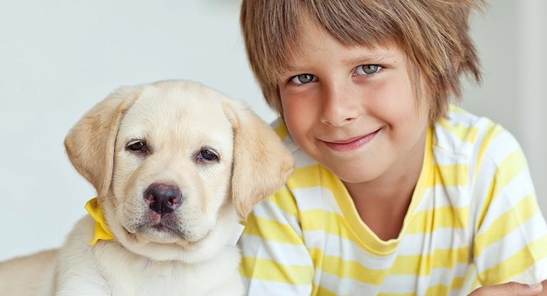 Dogs and kids - how to play safely with a dog