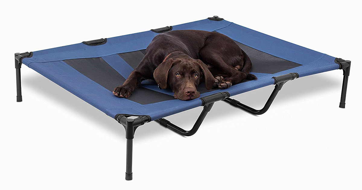 elevated pet bed
