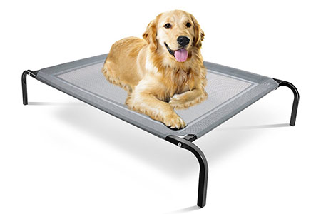 Our Favorite Raised Dog Beds - The Labrador Site