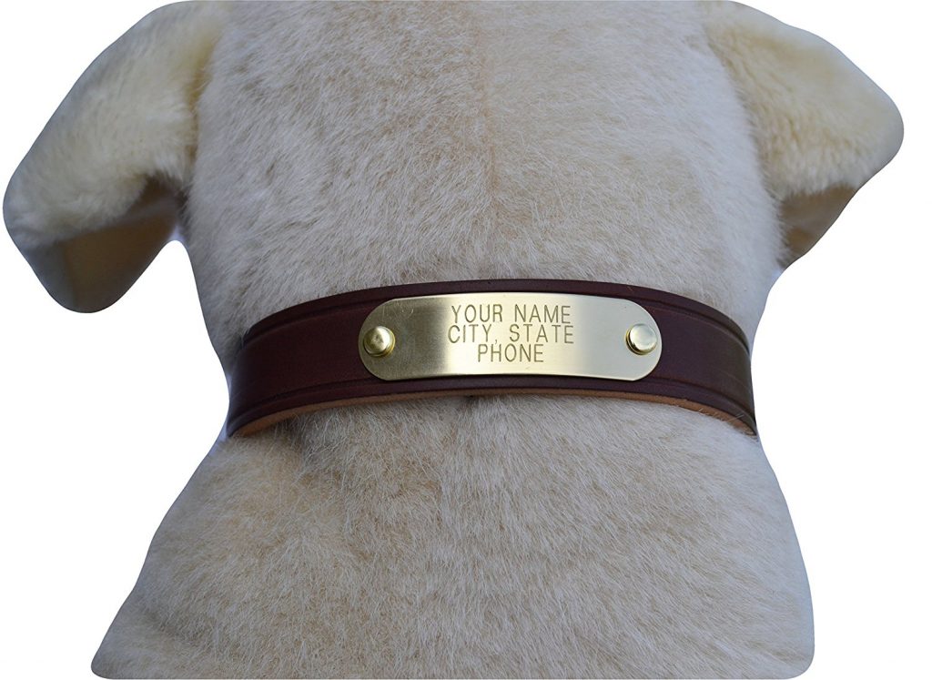 The Best Personalized Dog Collars For Your Puppy Or Adult Dog