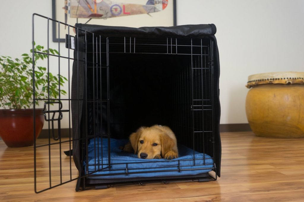 The Best Dog Crate Covers - Reviews And Top Choices