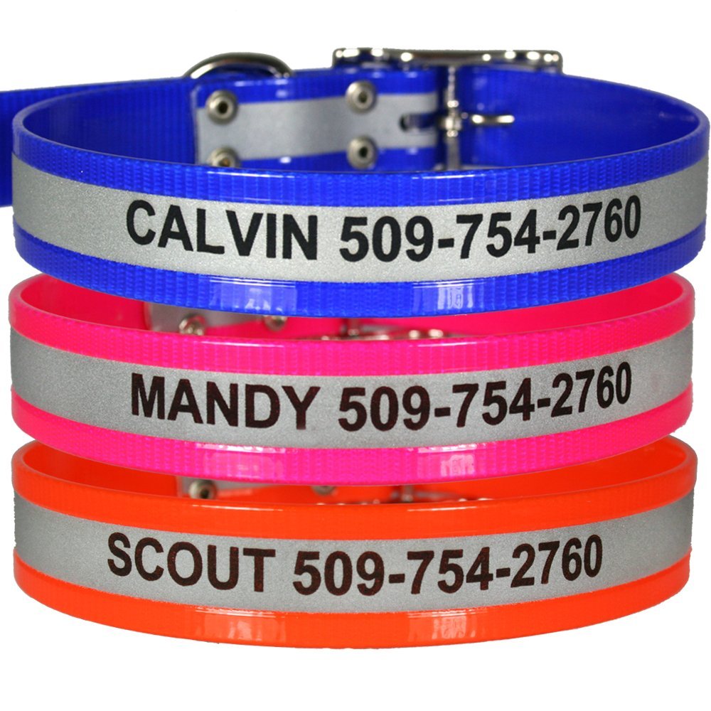 The Best Personalized Dog Collars For Your Puppy Or Adult Dog