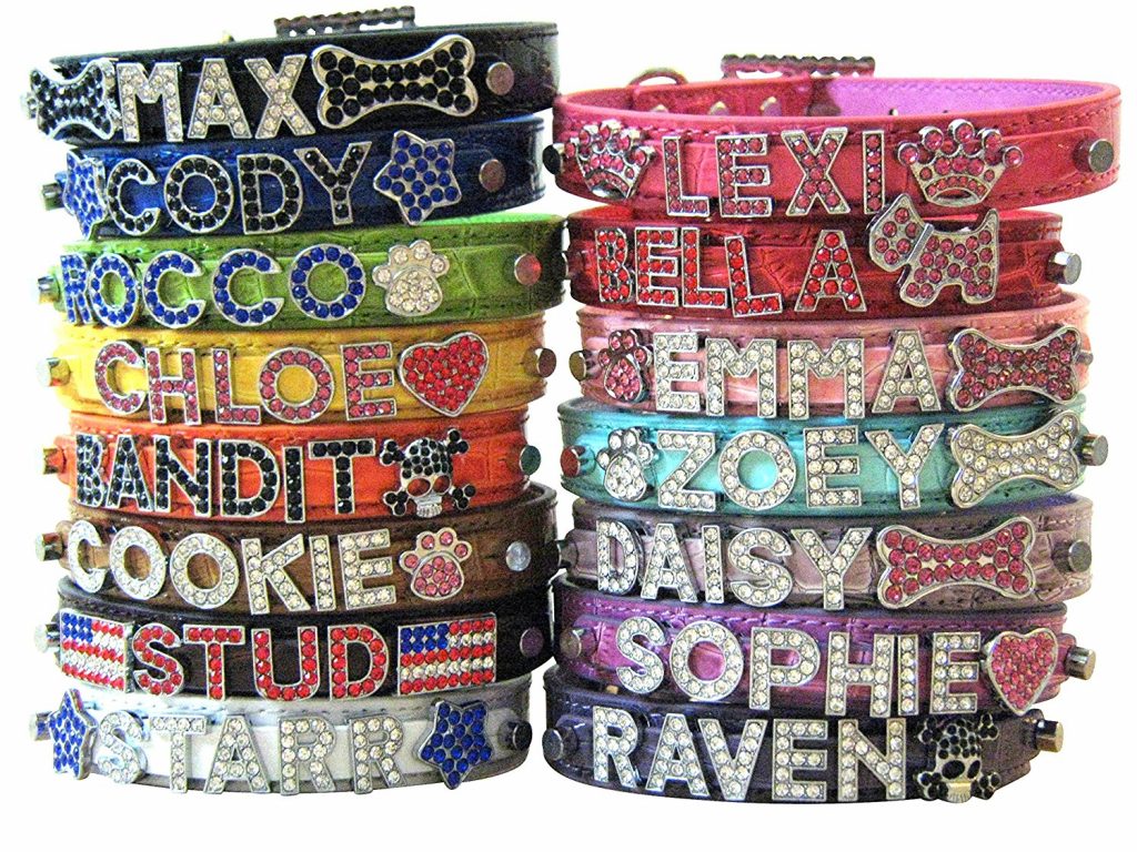 The Best Personalized Dog Collars For Your Puppy Or Adult Dog