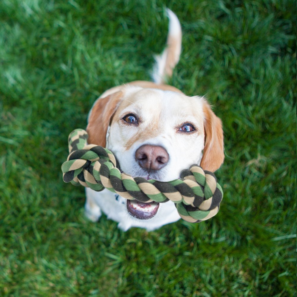 indestructible soft toys for dogs