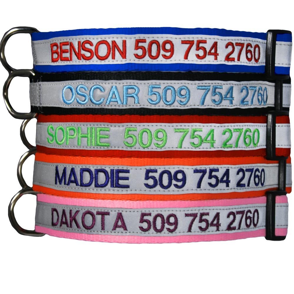 The Best Personalized Dog Collars For Your Puppy Or Adult Dog