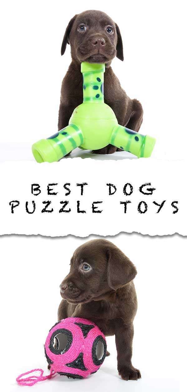 best dog puzzle toys uk