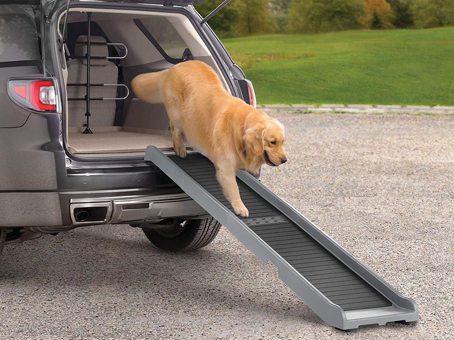 Best Dog Ramp Brand at Gail Eickhoff blog