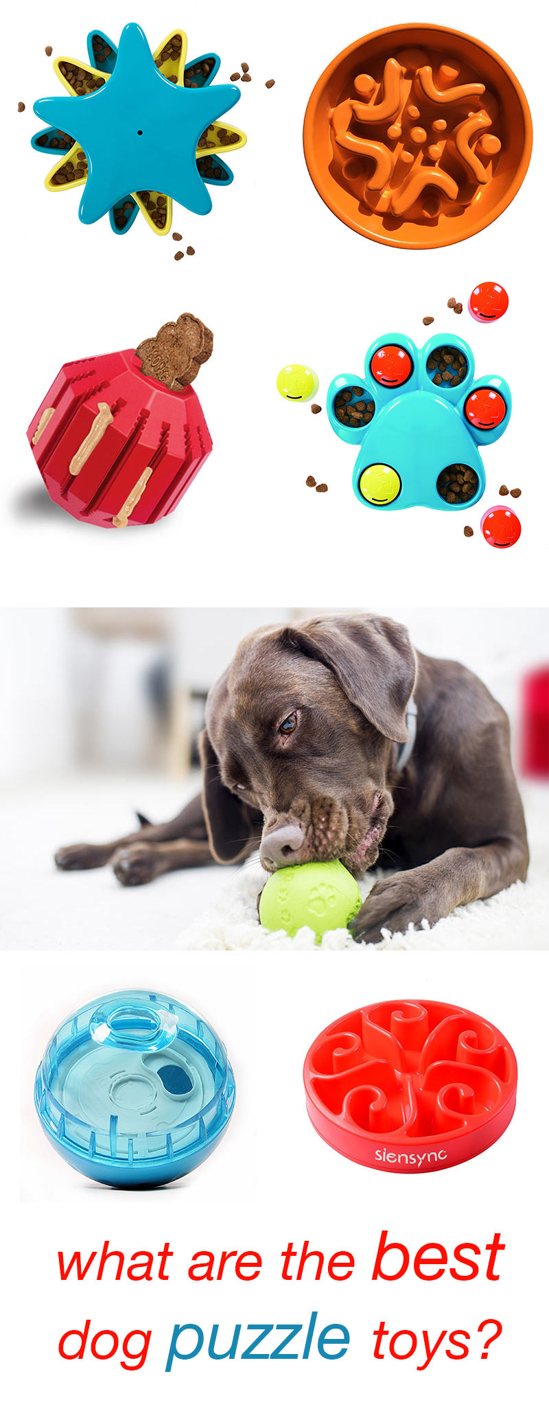 puppy food puzzle toys