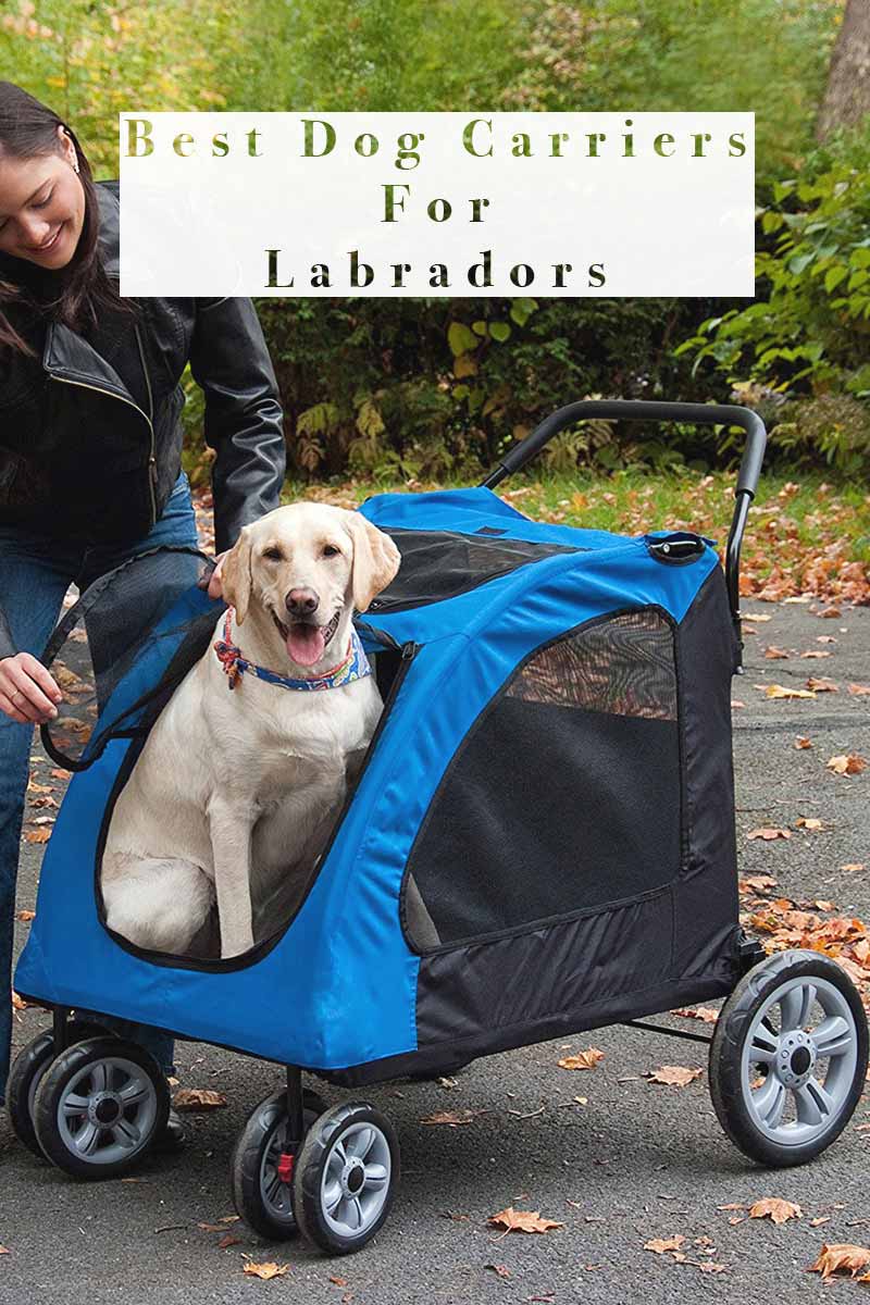large puppy carrier