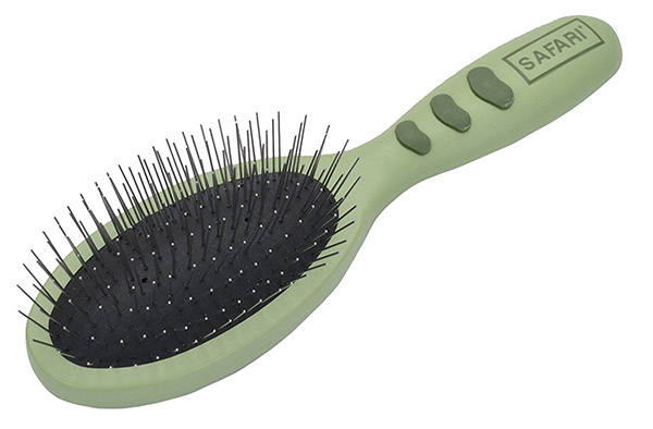 Best Dog Brush For Labradors And Other High Shedding Breeds best-dog-brush-for-labradors-and-other-high-shedding-breeds