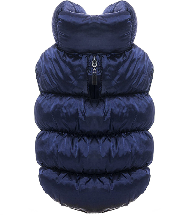 Reviews Of The Best Dog Coats For Labs And Other Large Breeds