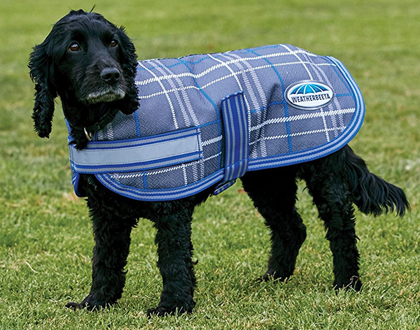 Reviews Of The Best Dog Coats For Labs And Other Large Breeds