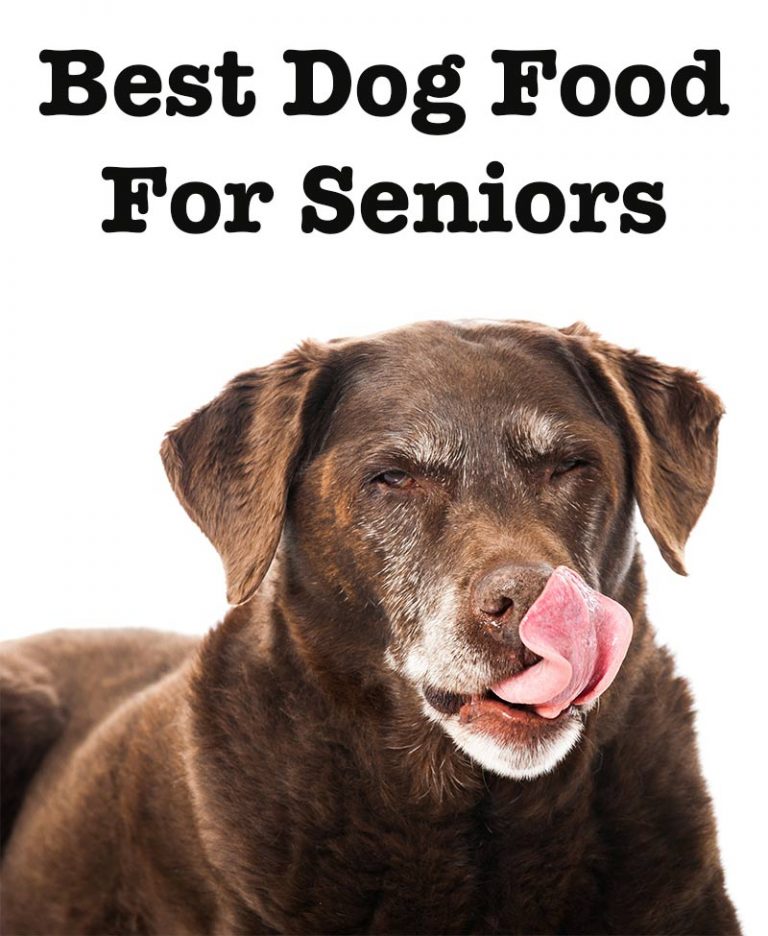 best-dog-food-for-senior-dogs-reviews-and-tips