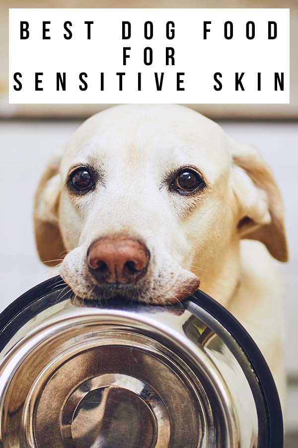 Best Dog Food For Sensitive Skin Top Brands Reviewed