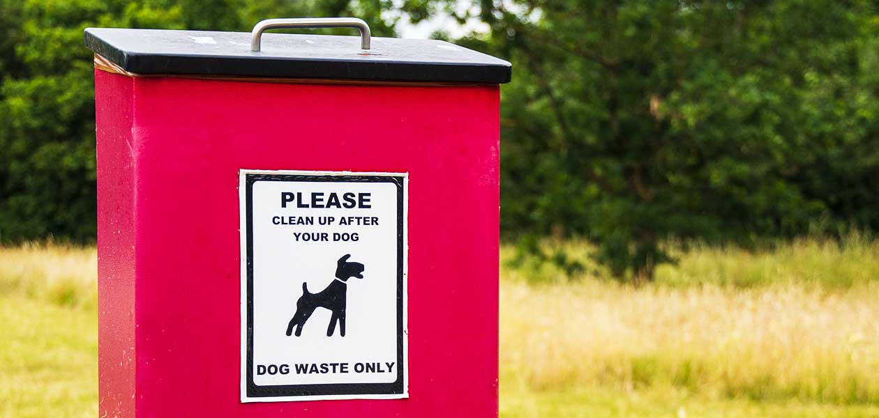 how do you store dog poop
