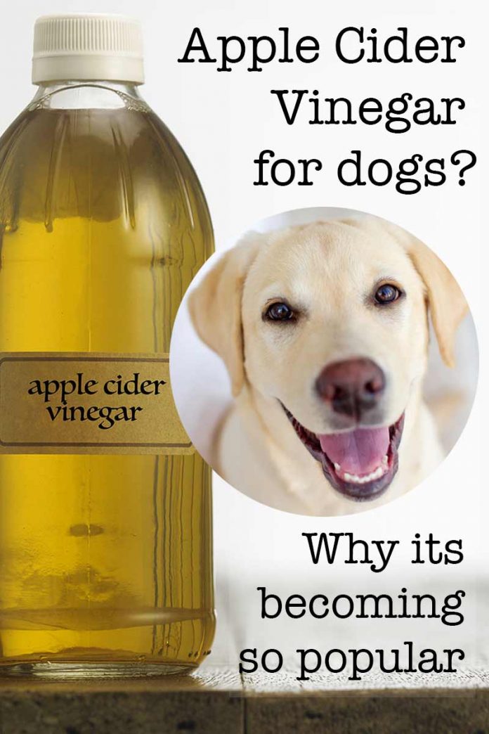 Apple Cider Vinegar For Dog Eye Infection