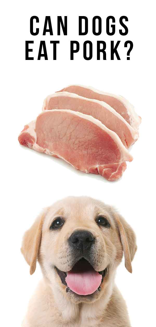 can u give a dog pork rib bones