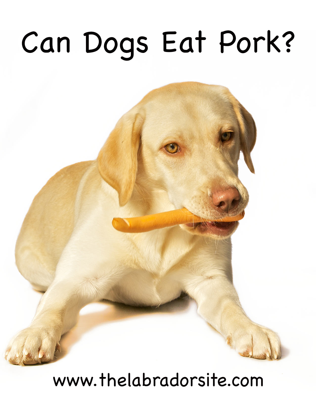 pork for dogs