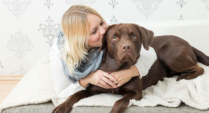 what is the best way to show affection to your dog