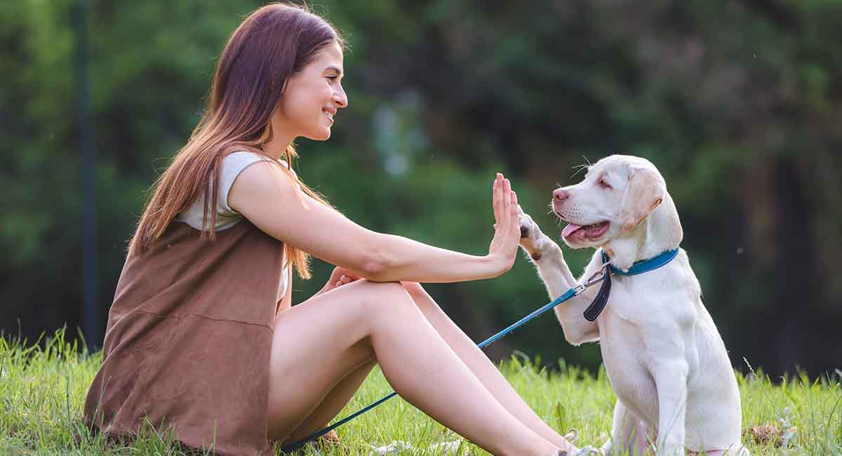 Does My Dog Love Me Signs Your Dog Loves You